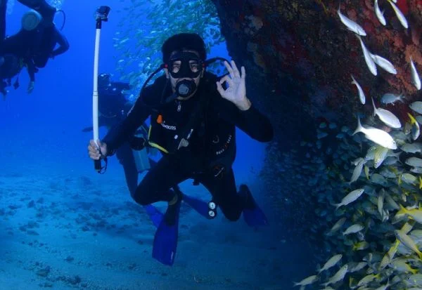 A male diver in under the ocean with fishes around and other divers.
